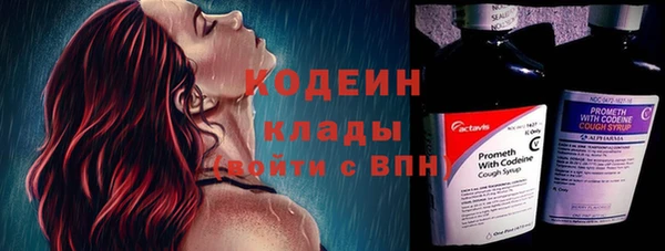 таблы Ельня