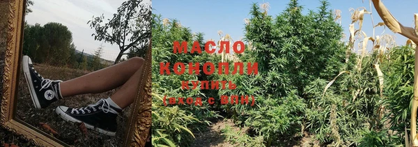 таблы Ельня