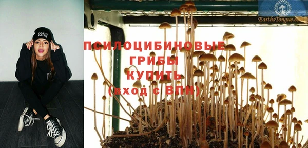 не бодяженный Елабуга