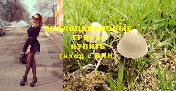 таблы Ельня