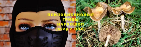 таблы Ельня