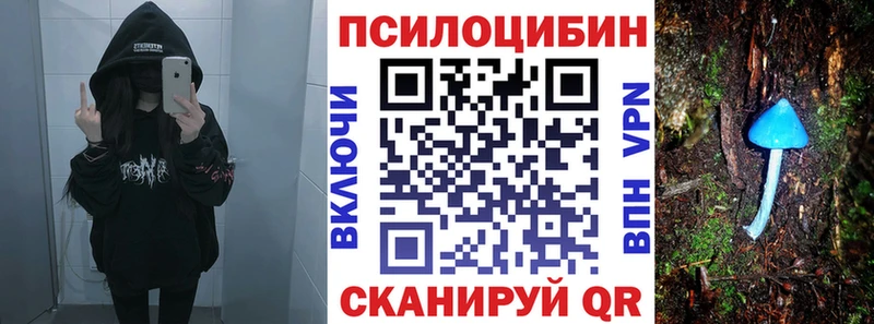 где найти наркотики  Нефтекамск  Псилоцибиновые грибы мицелий 